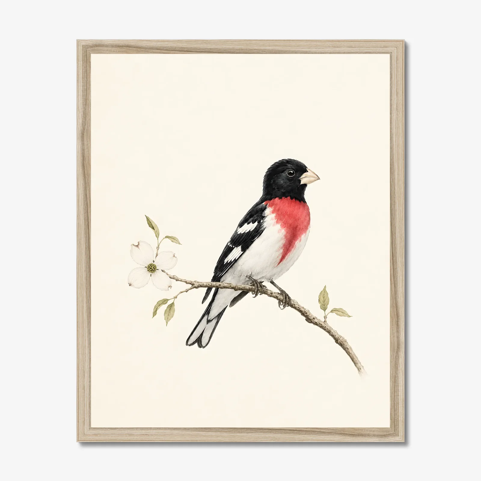 Rose-breasted Grosbeak Print in a natural frame