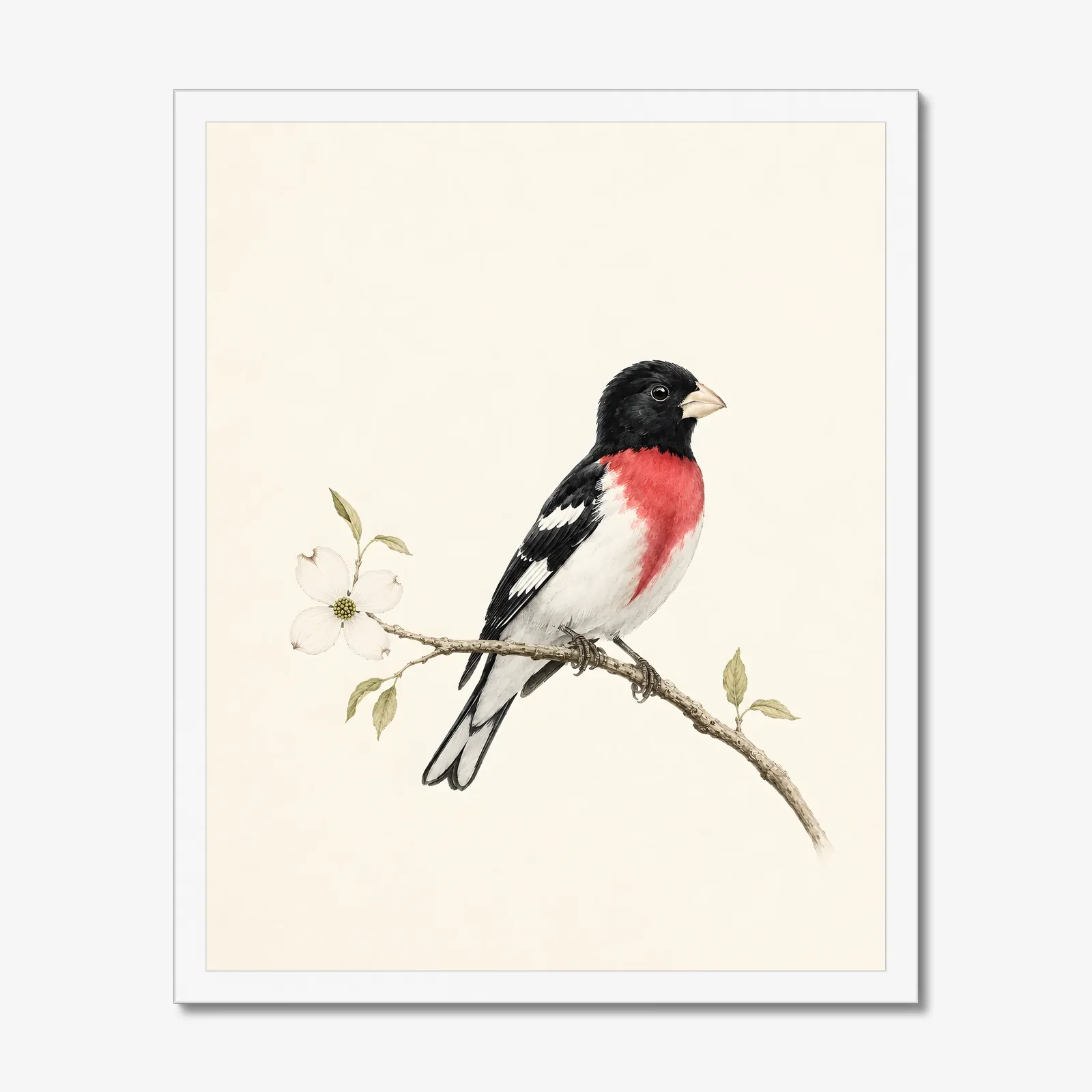 Rose-breasted Grosbeak Print in a white frame