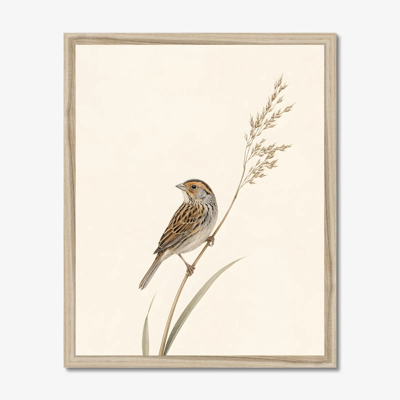 Saltmarsh Sparrow Print - Coastal Marsh Bird Art in a natural frame