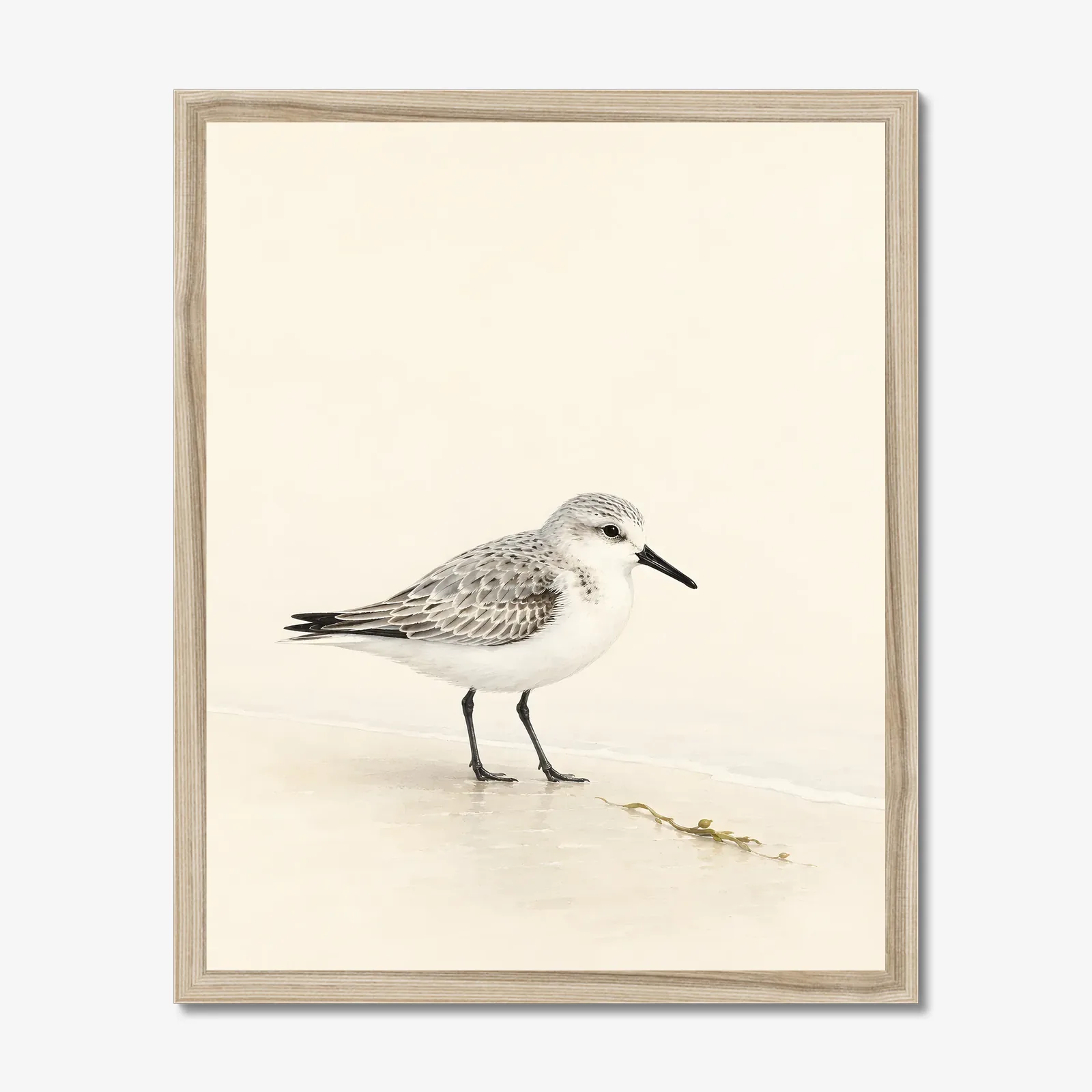 Sanderling Print in a natural frame