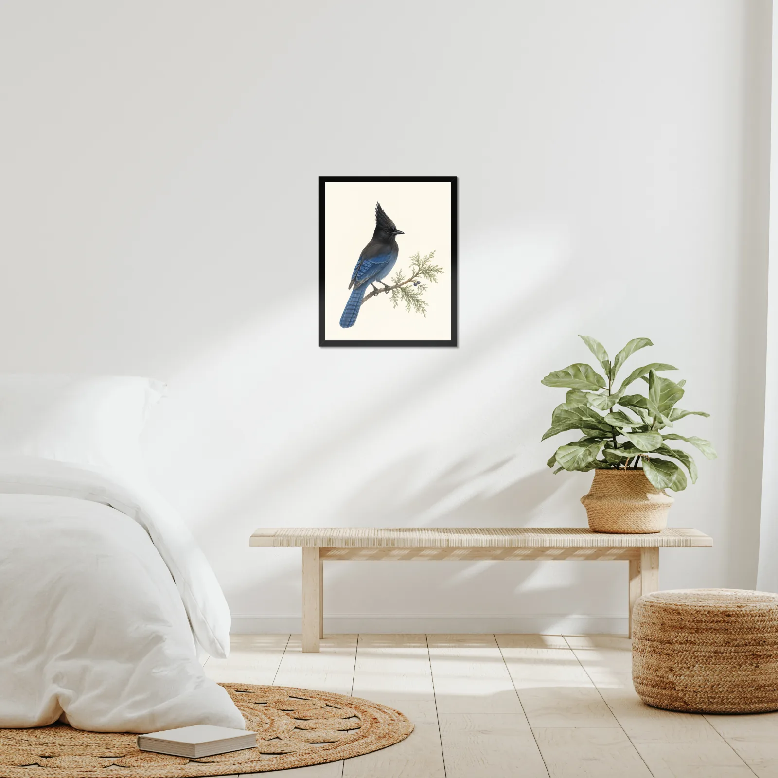 Steller's Jay Print in a room setting, shown at 16x20 inches