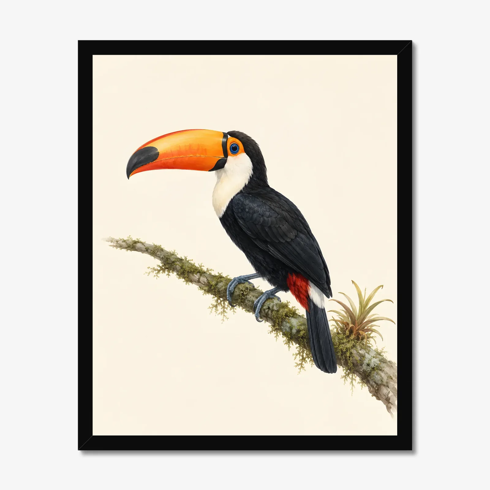 Toco Toucan Print in a black frame