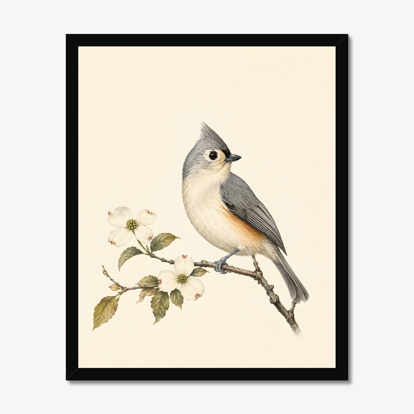 Tufted Titmouse Print in a black frame