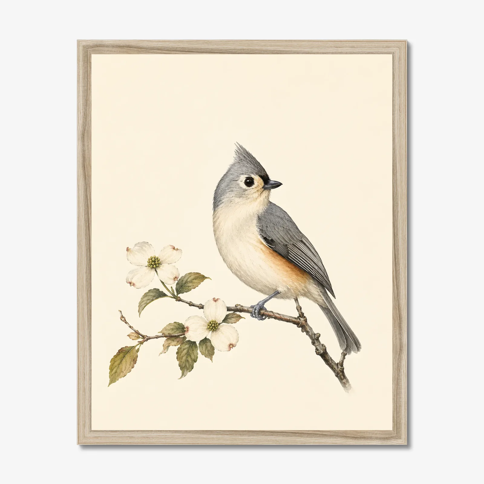 Tufted Titmouse Print in a natural frame