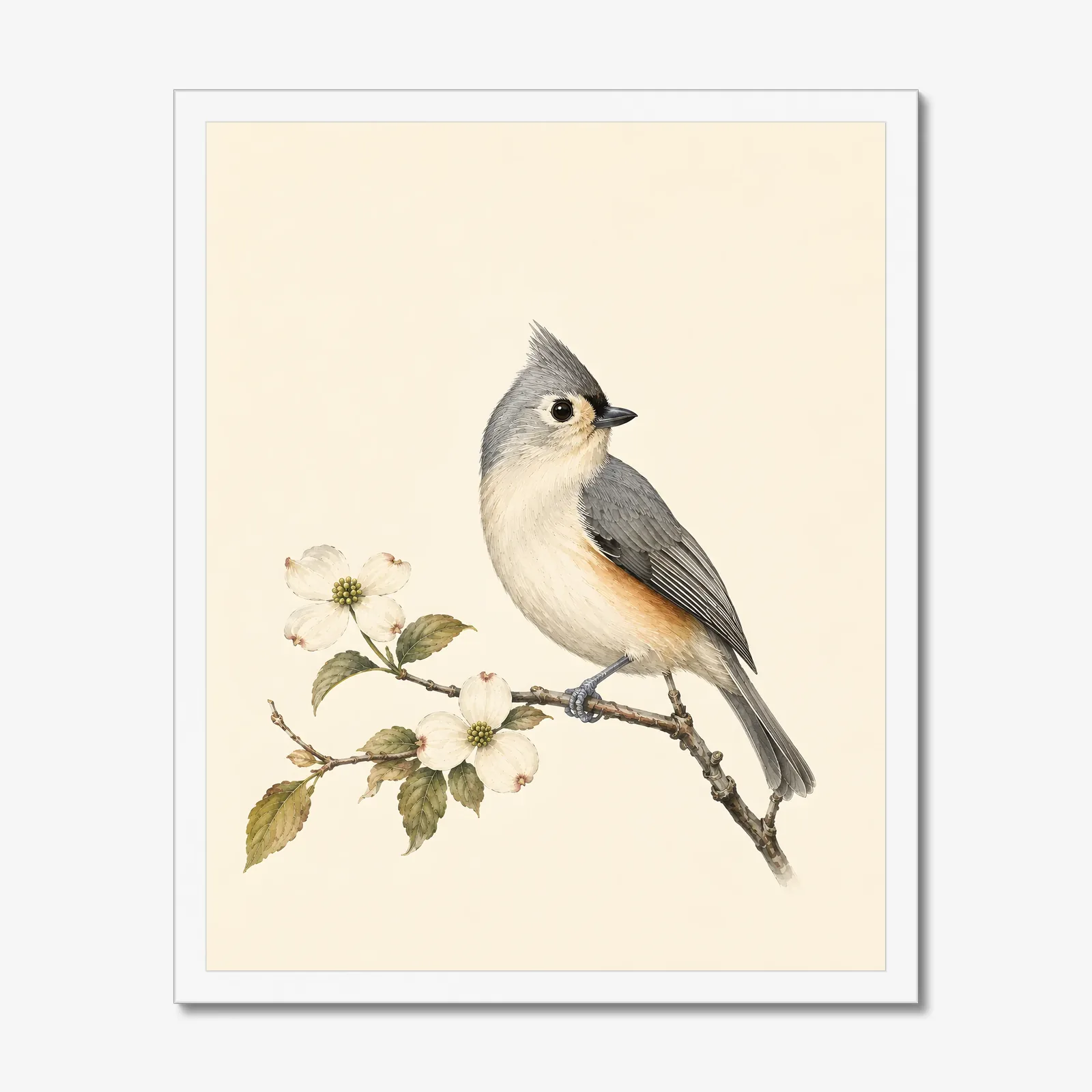 Tufted Titmouse Print in a white frame