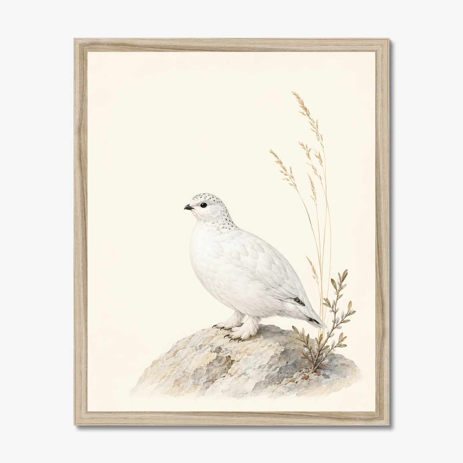 White Tailed Ptarmigan Print in a natural frame
