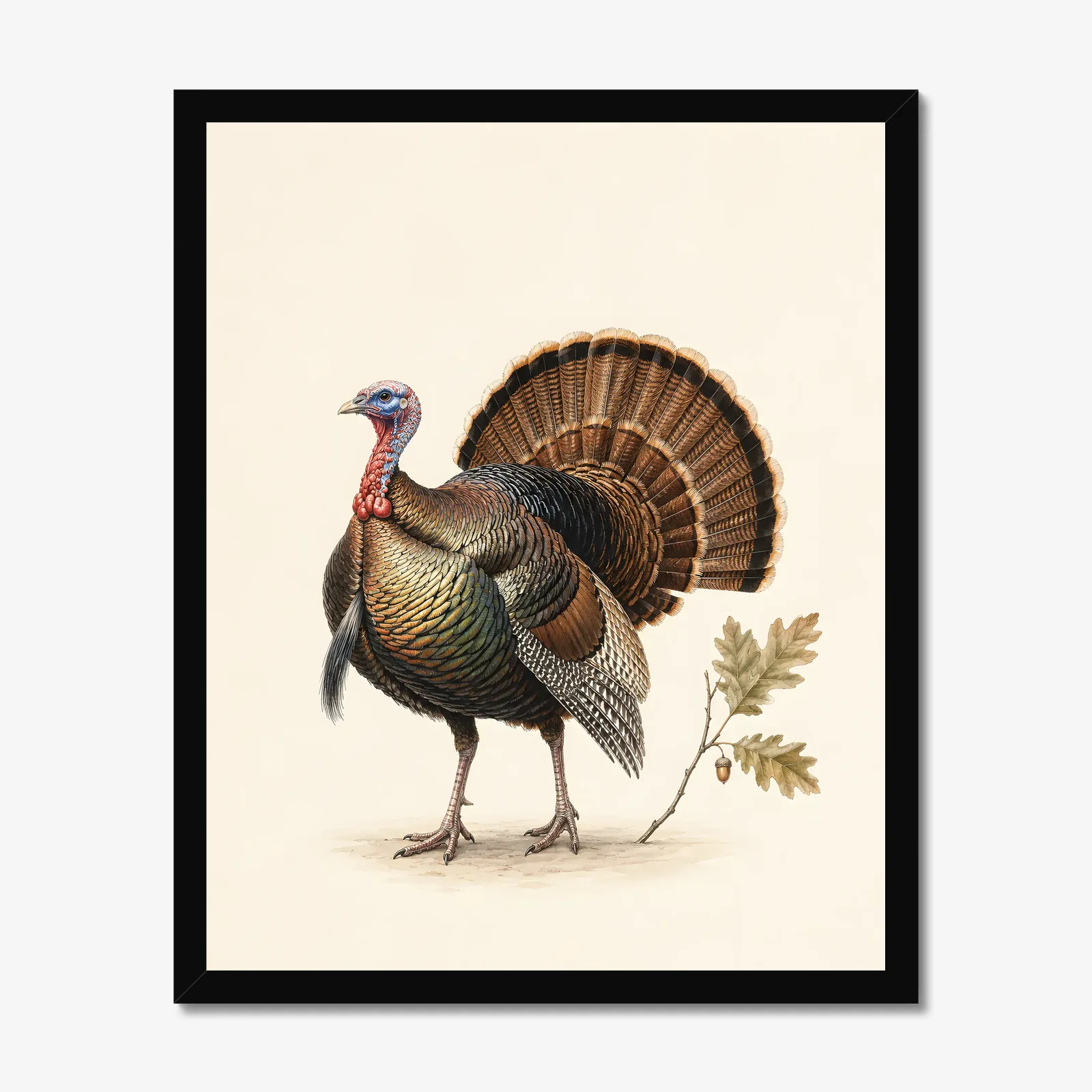 Wild Turkey Print in a black frame