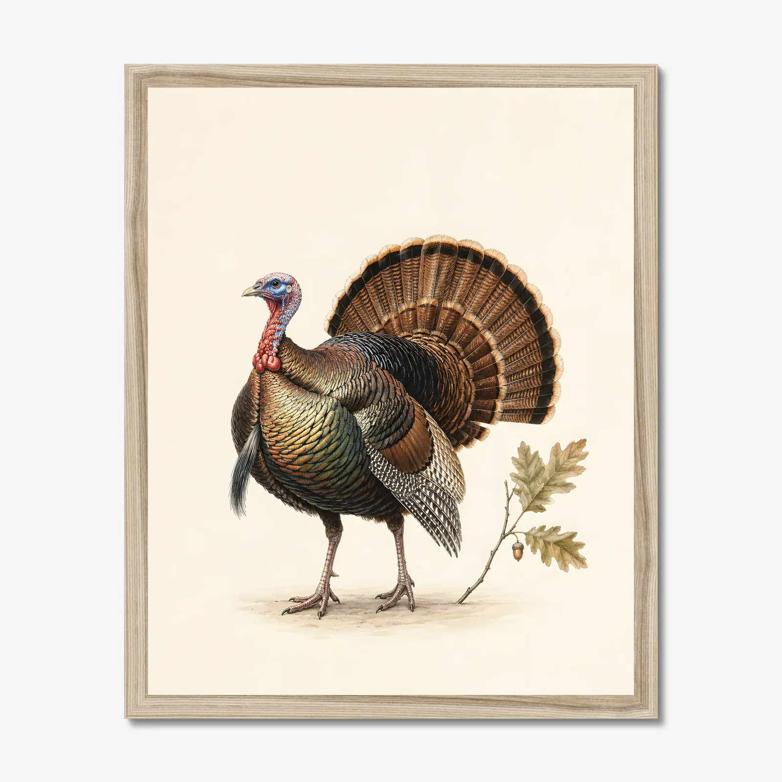 Wild Turkey Print in a natural frame