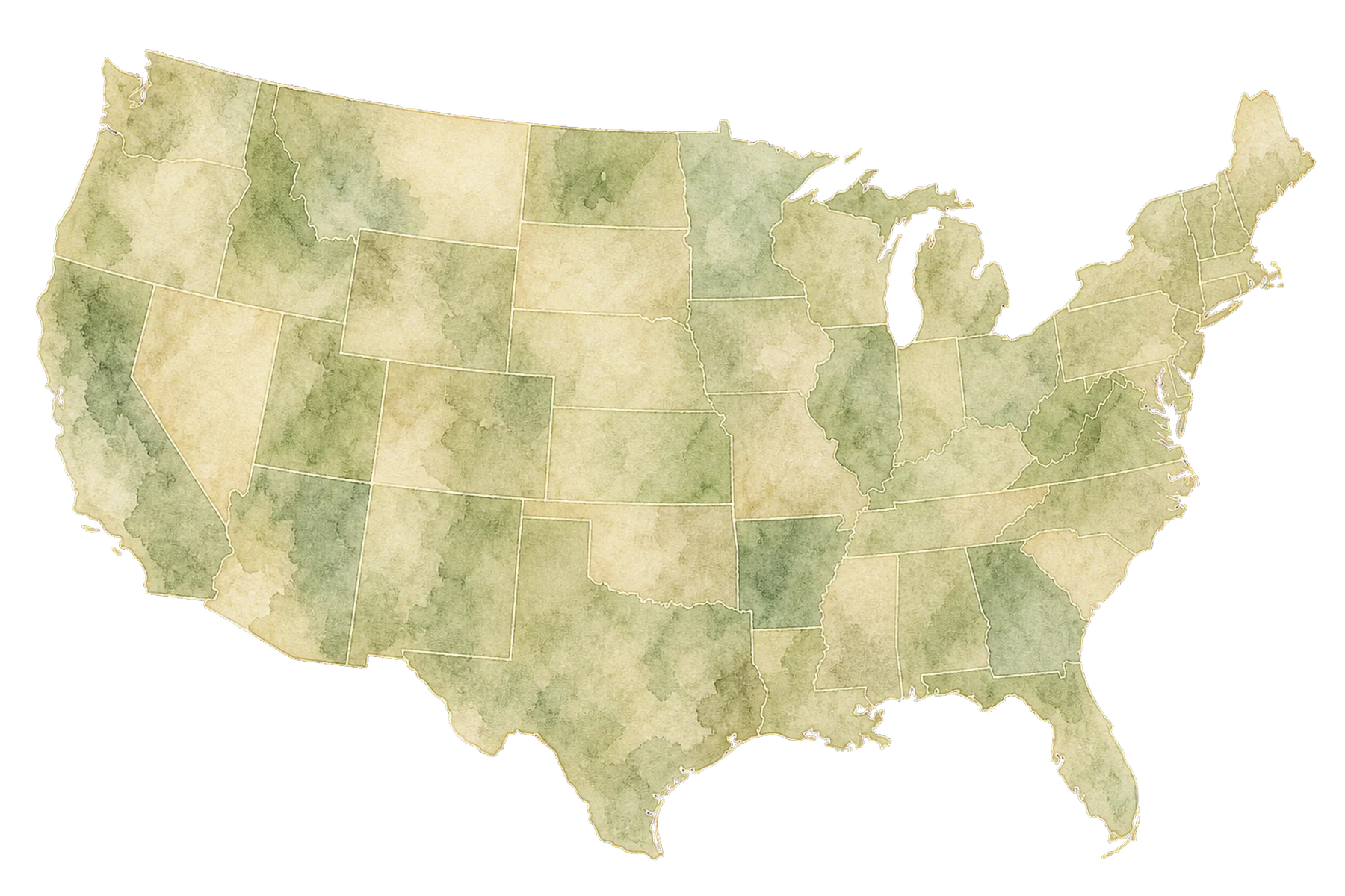 A watercolour map of the United States